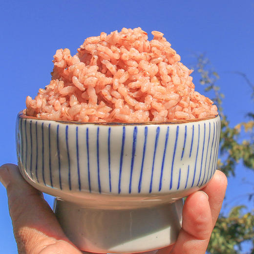 云南永胜 六德慢红谷（糙米） 商品图1