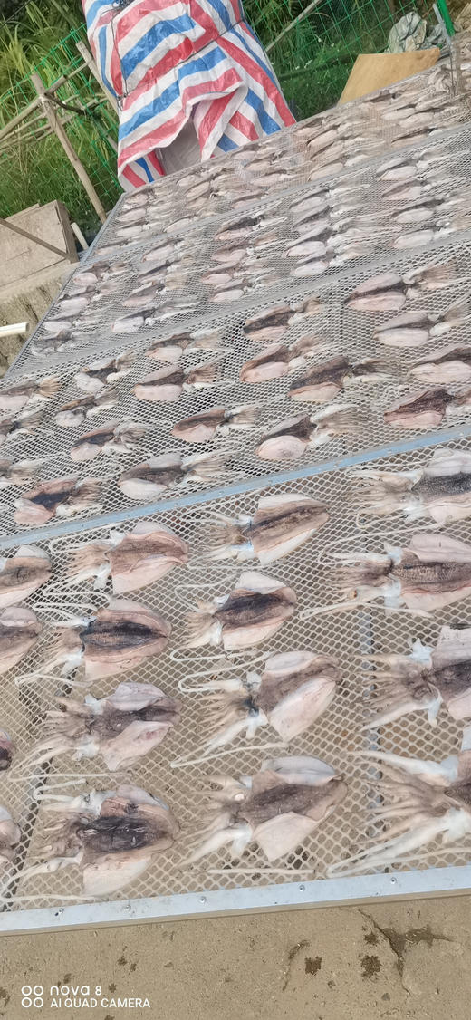 各种优选海鲜大礼包 商品图12