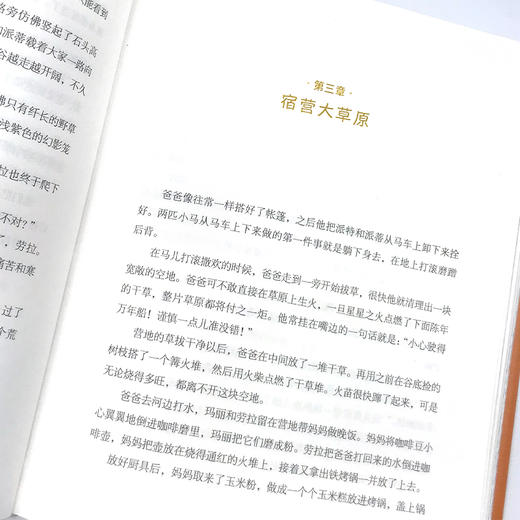 草原上的小木屋 商品图2