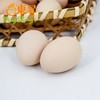 东升农场土鸡蛋  新鲜鸡蛋 30枚 中通包邮 商品缩略图3