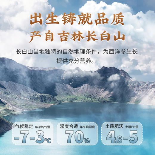 雷允上国产西洋参片250g/瓶（0.6-0.8cm） 商品图3