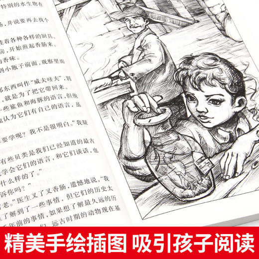 世界经典儿童文学奖名著10册（礼盒装） 商品图14
