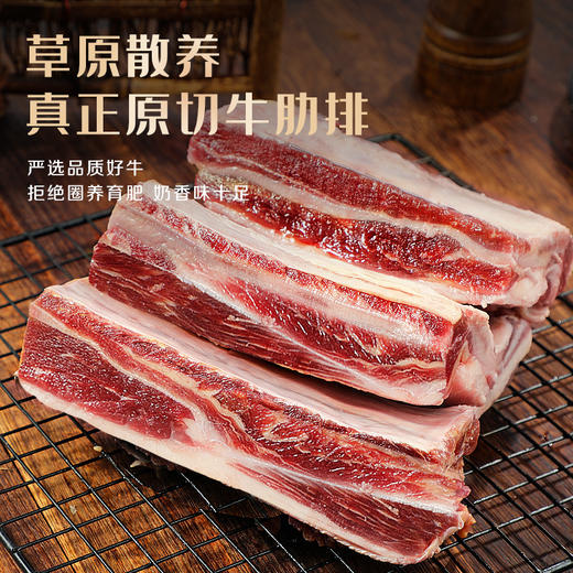 东上御品| 内蒙四肋牛排5斤原切清真肋排骨新鲜炖煮 商品图1