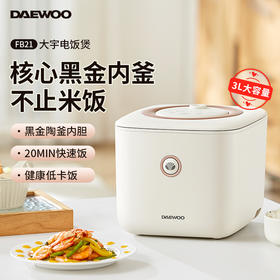 韩国大宇3升电饭煲家用1一2人4多功能智能陶瓷电饭锅煮粥迷你小型