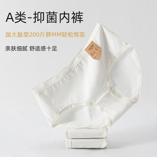 【0染色7A级抗菌】【39元/3条】A类原棉婴儿棉纯棉内裤纯棉裆部纯白色系内裤女（预售）H241270658 商品图2