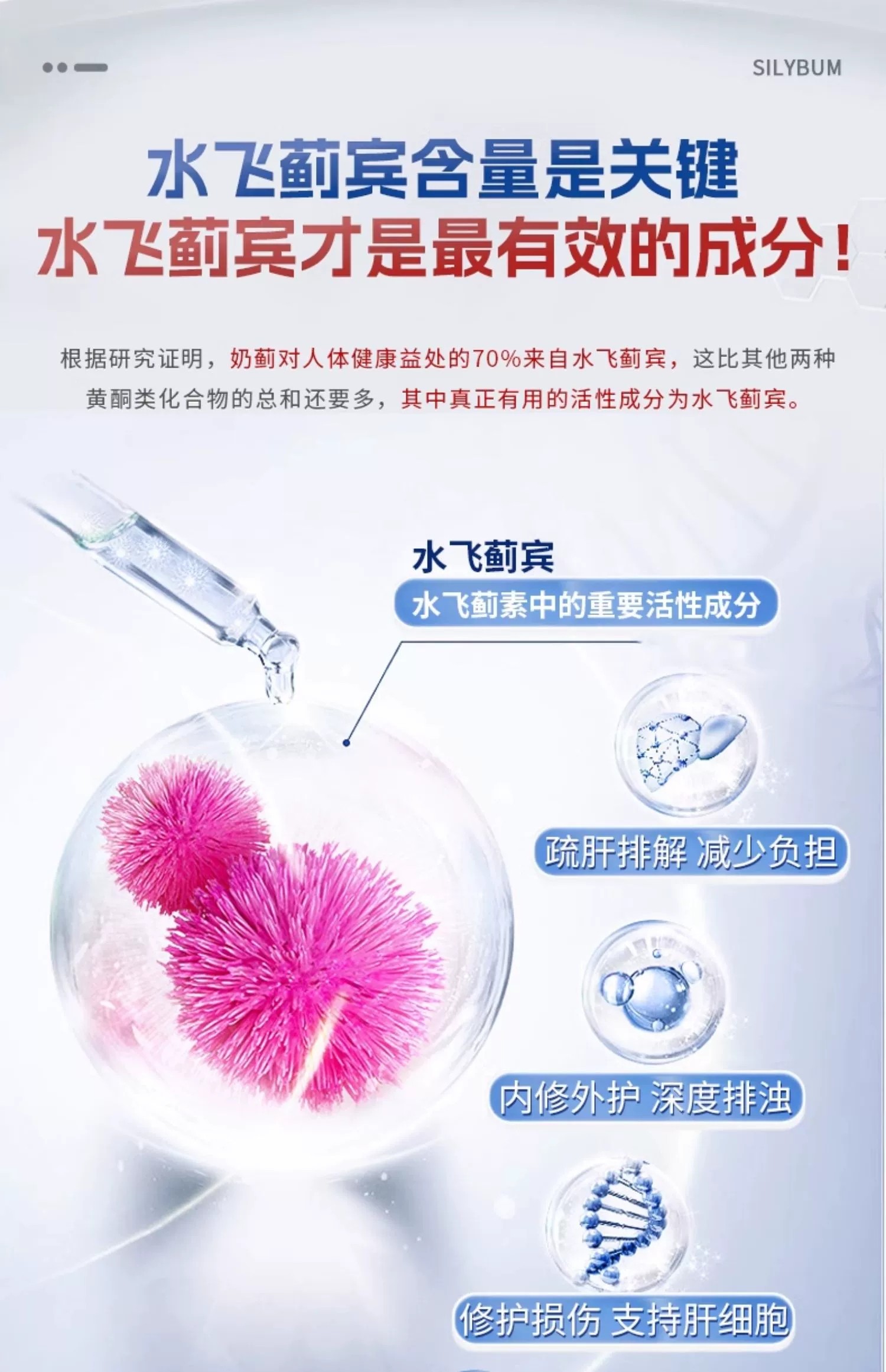 水飞蓟软胶囊60粒 护肝排浊 - 哈你健康生活