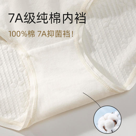 【0染色7A级抗菌】【39元/3条】A类原棉婴儿棉纯棉内裤纯棉裆部纯白色系内裤女（预售）H241270658 商品图4
