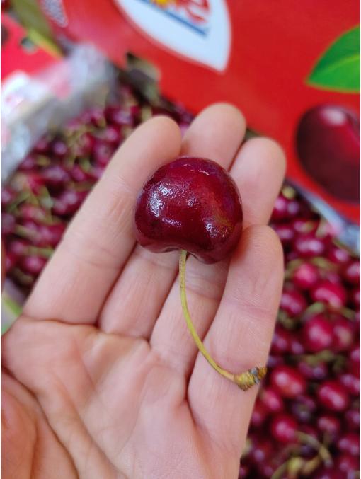 都乐单J车厘子一箱（10斤装） 商品图5