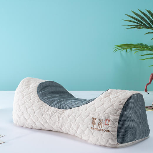 【远梦】芸舒荞麦颈护枕 商品图2