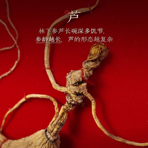 长白山人参 野山参A1一等 约20年/大于7g/盒【LXDWYY8.0】 商品图2