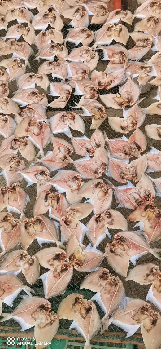 各种优选海鲜大礼包 商品图11