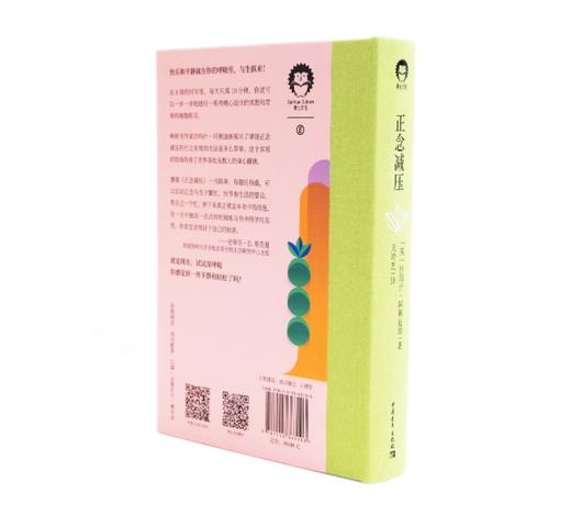 书籍《正念减压》 通往健康快乐的八周之旅 商品图1