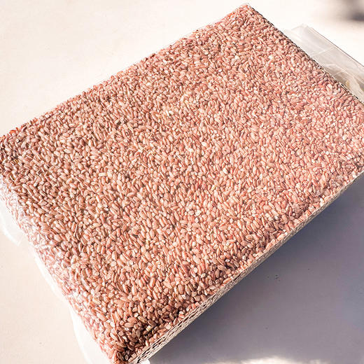 云南永胜 六德慢红谷（糙米） 商品图4