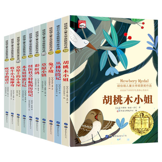 世界经典儿童文学奖名著10册（礼盒装） 商品图6