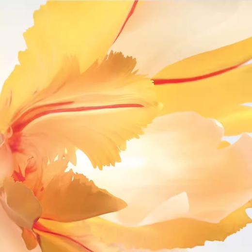 Dior迪奥真我香氛系列 女士香水 花香调淡香氛 30ML 商品图3