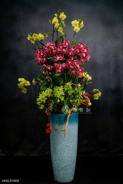 24GL01009 商品图0