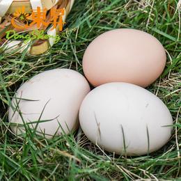 东升农场土鸡蛋  新鲜鸡蛋 30枚 中通包邮