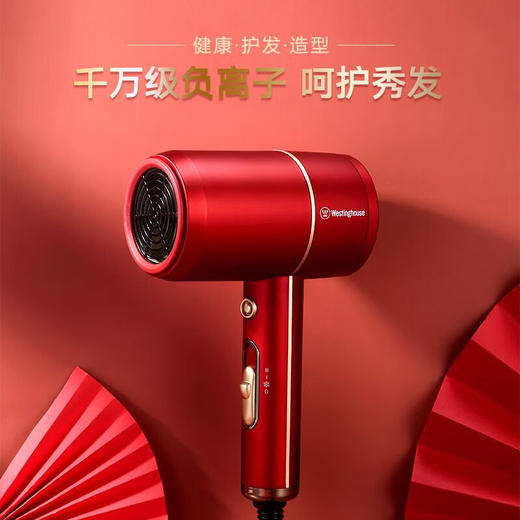 西屋吹风机家用负离子便携护发大风量两档调节网红款电吹风H101/ H102(TZ)（tz） 商品图2