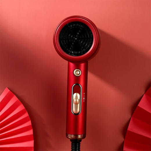 西屋吹风机家用负离子便携护发大风量两档调节网红款电吹风H101/ H102(TZ)（tz） 商品图0