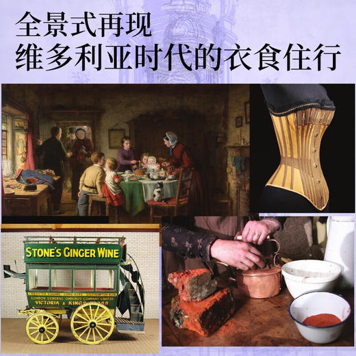 格调与文明 维多利亚时代极情尽致的浮世生活 露丝·古德曼 著 文化 商品图3
