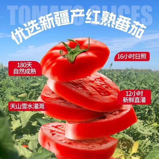 *半球红新疆番茄丁番茄块罐头400g*2罐起切块番茄0添加番茄酱 商品图2