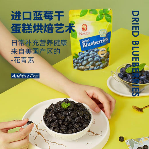Nestor蓝莓干100g/454g 看得见的酸甜美味补充营养健康 058480/050127 商品图1