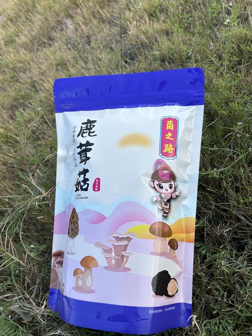 鹿茸菇 100g 【LY】 商品图0