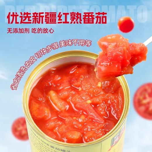 *半球红新疆番茄丁番茄块罐头400g*2罐起切块番茄0添加番茄酱 商品图1