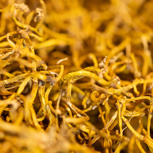 大益康堂 霍山米斛寸金礼盒装 16g 商品图1