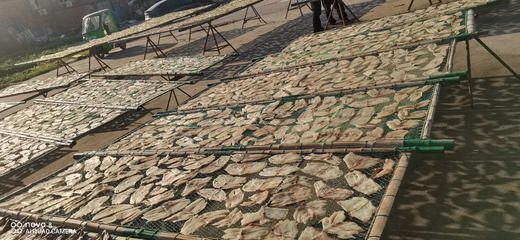 各种优选海鲜大礼包 商品图8