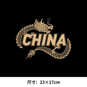 中国龙年新年国潮本命年神龙摆尾印花T恤卫衣图案烫画