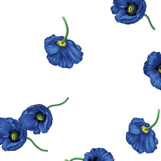 KENZO Koqelico 丽春全棉四件套 KCA-010 商品图3