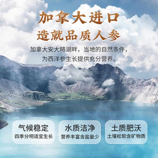 雷允上加拿大西洋参片100g/瓶（0.6-0.8cm） 商品图1