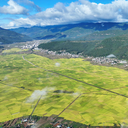 云南永胜 顺州慢香谷 商品图4