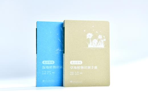北京常见草地植物识别手册、北京常见湿地植物识别手册（自然科普、自然教育、科普研学、实习手册、植物工具书、野外调查必备） 商品图2