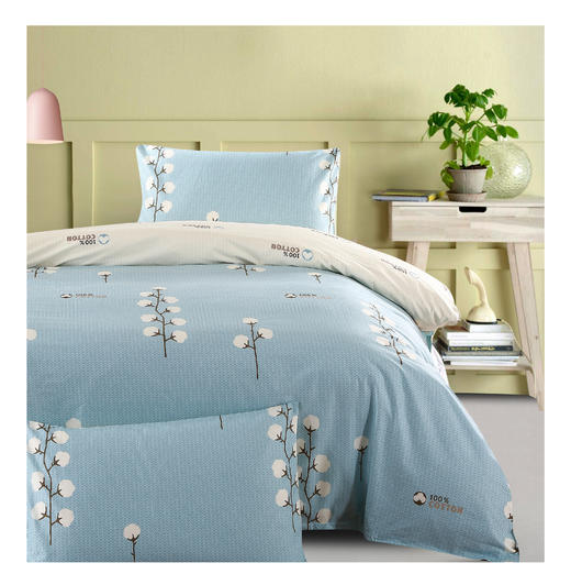 Threegun三枪 【全棉】印花4件套（220*240CM）-J40046011 商品图1