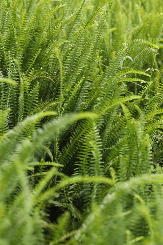 14.你了解“气场”吗？ 商品图0