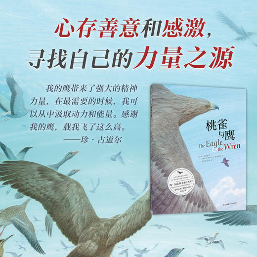 桃雀与鹰（寓言故事，自我认知，接纳个性，互助协作，选择）([英]珍·古道尔 著) 商品图2