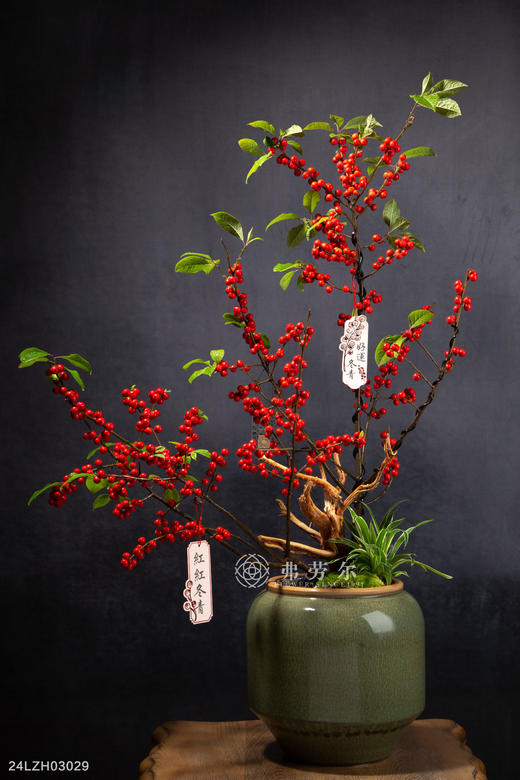 24LZH03029 商品图0