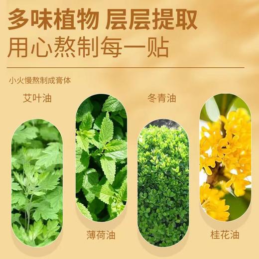 香港仲景国医研究院 艾草贴！ 肩颈+腱鞘+腰椎+膝盖 商品图10