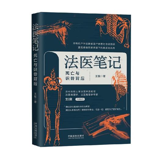 法医笔记 死亡与识骨背后 王敏 著 法律 商品图0