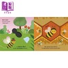 【中商原版】生命周期 蜜蜂 Little Life Cycles Bee 英文原版 儿童纸板科普绘本亲子读物 自然科学纸板书图画书 童书1-3岁 商品缩略图2