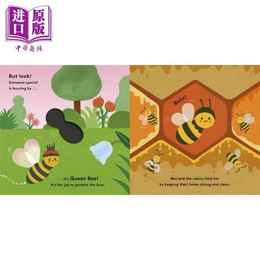 【中商原版】生命周期 蜜蜂 Little Life Cycles Bee 英文原版 儿童纸板科普绘本亲子读物 自然科学纸板书图画书 童书1-3岁 商品图2