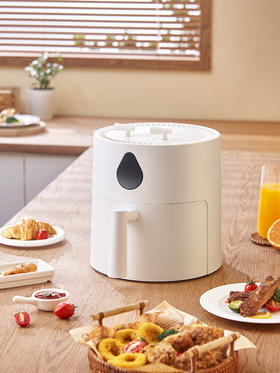 【NERF 拉尔弗电器】空气炸锅-JN-500AM14A31