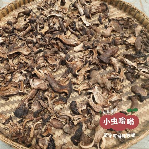 高原野生珍菌包 110g | 合作农友生产，产自四川甘孜雪山高原，生产者：李建程 &【公平贸易农人定价】 商品图10