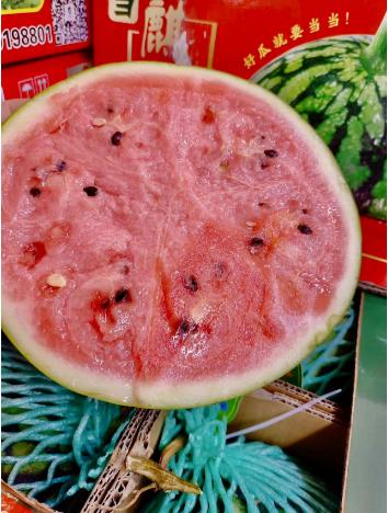4粒海南麒麟西瓜一箱 商品图3