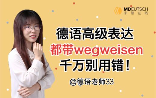 wegweisen和wegweisend的区别 商品图0