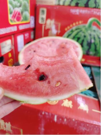 4粒海南麒麟西瓜一箱 商品图5