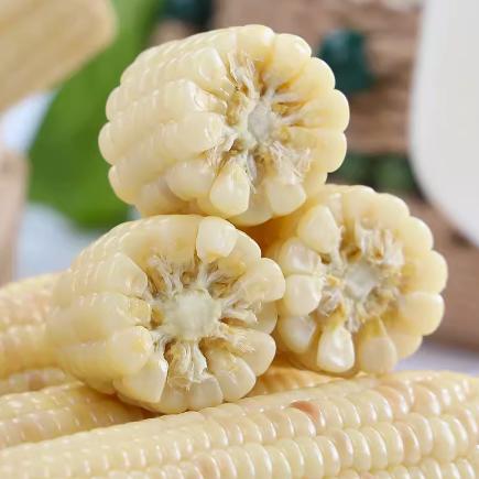 【云南】花糯玉米/拇指玉米·云南老品种 非转基因·香糯甜无麸质|云南伴手礼 商品图4