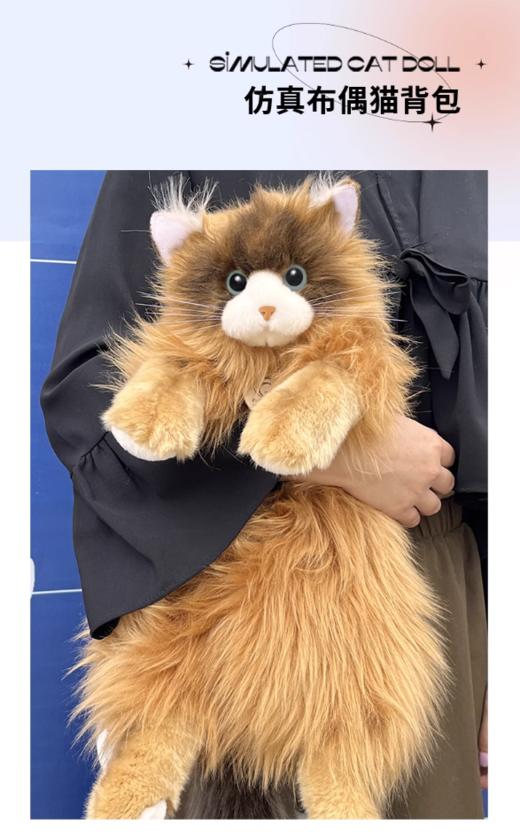 布偶猫背包65CM 商品图1